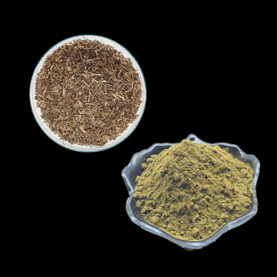 Ajuga Turkestanica Extract العشبية استخراج مسحوق تركسترون مسحوق ملاحق 2٪ 10٪ 20٪