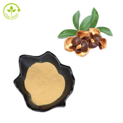 CAS 8047-15-2 مستخلصات نباتية طبيعية 80٪ مسحوق صابونين بذور الشاي