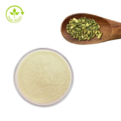 توريد مصنع مستخلص الصفيراء جابونيكا روتين 95٪ الصفيراء جابونيكا استخراج مسحوق روتين
