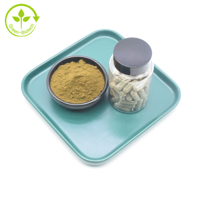 مكمل تصنيع المعدات الأصلية Ajuga Turkestanica Turkesterone Private Label 10٪ 20٪ Turkesterone extract Capsuels Turkesterone