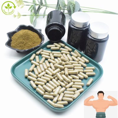 Ajuga Turkestanica Extract بالجملة السائبة 2٪ 10٪ CAS 41451-87-0 مستخلص تركسترون مسحوق تركسترون