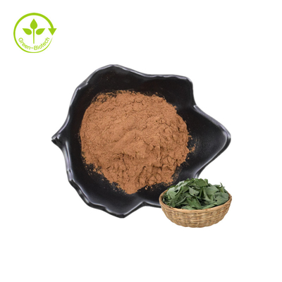 أفضل بيع مستخلصات نباتية Epimedium P.E. 20٪ مسحوق Lcariin مع HPLC
