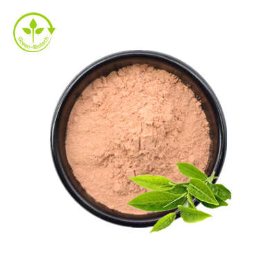 توريد مصنع بالجملة النقي مستخلص الشاي الأخضر مسحوق Epicatechin 98٪ Egcg Tea Polyphenol Green Tea Extract