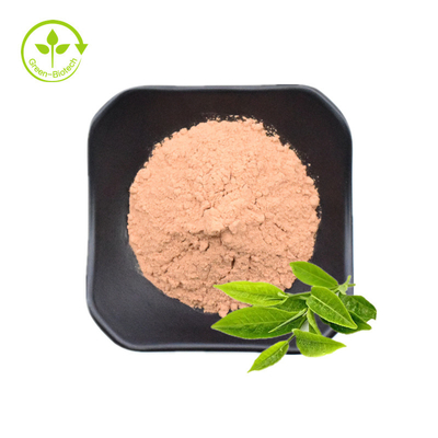 مسحوق مستخلص الشاي الأخضر / Polyphenols EGCG Catechins