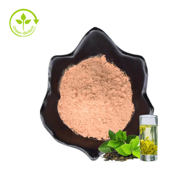 عينات مجانية من ISO مسحوق الشاي الأخضر الفوري 20٪ بوليفينول أغذية صحية قابلة للذوبان في الماء مستخلص الشاي الأخضر العضوي