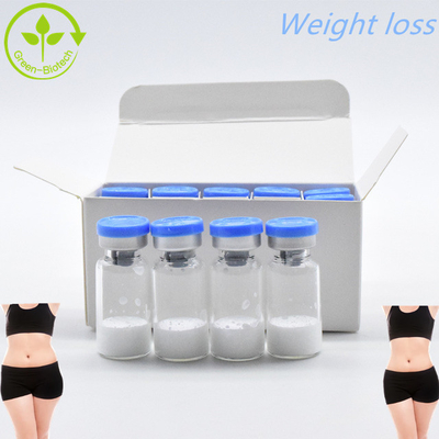 CAS 910463-68-2 سيماغلوتيد لفقدان الوزن 10mg/ Vails في المخزون
