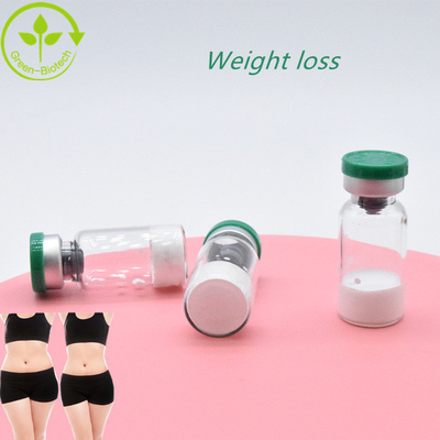 بناء الجسم  الأبيض Semaglutide بيع ساخن في السوق الأوروبية