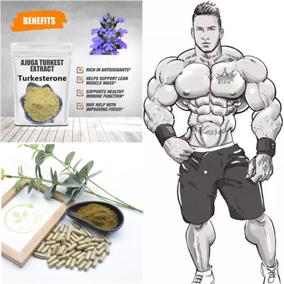 500mg تركستانكا مستخلصات نباتية طبيعية
