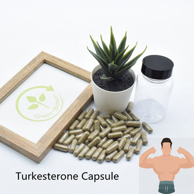 2٪ 10٪ اجوجا تركستانكا ملاحق بمستخلصات نباتات Ecdysteroid الطبيعية