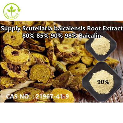 إمدادات التكنولوجيا الحيوية الخضراء عالية النقاء Baical Skullcap استخراج Baicalin 80٪ 85٪ 90٪ 98٪ CAS رقم: 211967-41-9