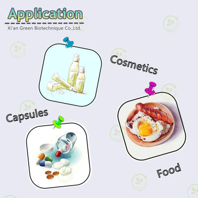 10٪ 98٪ 99٪ مسحوق مستخلصات نباتية أنزيم Q10 مسحوق CAS 303-98-0