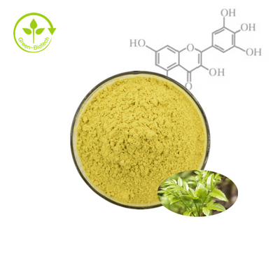 Ampelopsis مستخلص نبات الكرمة مستخلص نبات الشاي مسحوق مستخلص ميريسيتين الطبيعي العضوي