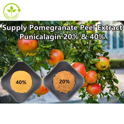 مسحوق مستخلص الرمان الطبيعي النقي Punicalagin CAS 65995-63-3