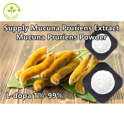 مستخلص نبات Mucuna Pruriens 98٪ 99٪ L-Dopa Powder