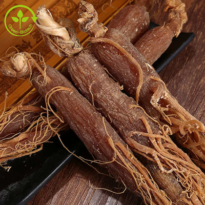 مسحوق الجينسنغ الأحمر الكوري الطبيعي للأغذية من مسحوق مستخلص جذور الجينسنغ الأحمر