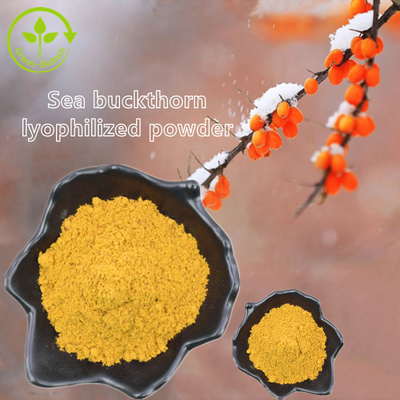 مستخلصات نباتية Fructus Hippophae Sea Buckthorn Oil Hippophae Rhamnoides Oil