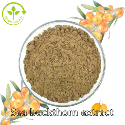 مستخلصات نباتية Fructus Hippophae Sea Buckthorn Oil Hippophae Rhamnoides Oil