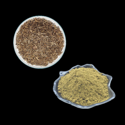2٪ 10٪ 20٪ 40٪ مكمل مسحوق مستخلص تركسترون Ajuga Turkestanica