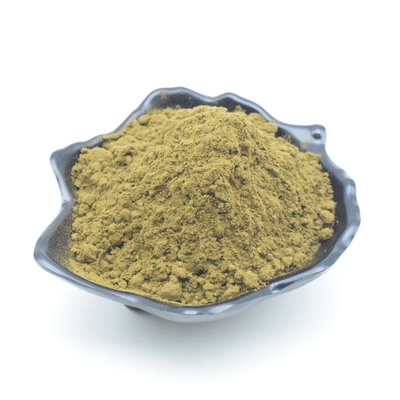 أفضل سعر مستخلص Ajuga Turkestanica Pure Turkesterone 2٪ 10٪ Turkesterone Powder