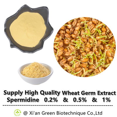 المكمل Spermidine Trihydrochloride Plant Extract Spermidine Powder
