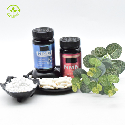 Oem 500mg Nmn ملاحق مكافحة الشيخوخة Nmn كبسولة