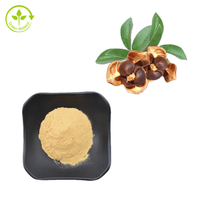 CAS 8047-15-2 مستخلصات نباتية طبيعية 80٪ مسحوق صابونين بذور الشاي