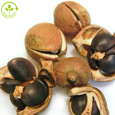 مسحوق بذور الكاميليا سينينسيس مسحوق الشاي سابونين 50٪ 60٪ 70٪ 80٪ 85٪ 90٪ 95٪ 98٪