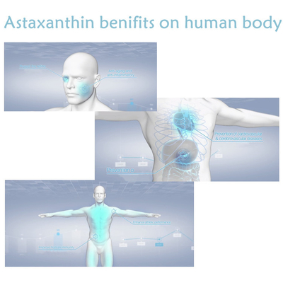 مضادات الأكسدة Haematococcus Pluvialis Extract 10٪ Astaxanthin Powder ملاحق