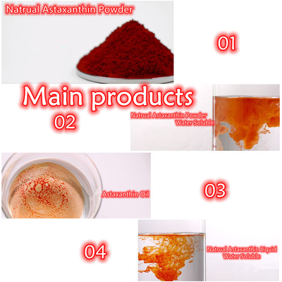 مضادات الأكسدة Haematococcus Pluvialis Extract 10٪ Astaxanthin Powder ملاحق