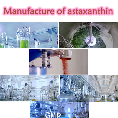 مضادات الأكسدة Haematococcus Pluvialis Extract 10٪ Astaxanthin Powder ملاحق