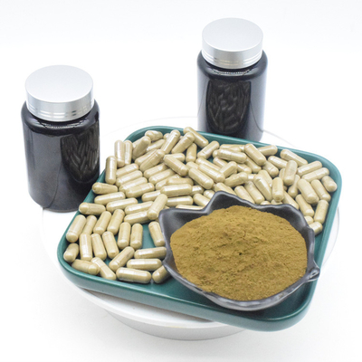 Ajuga Turkestanica Extract كبسولات تركسترون لكمال الأجسام