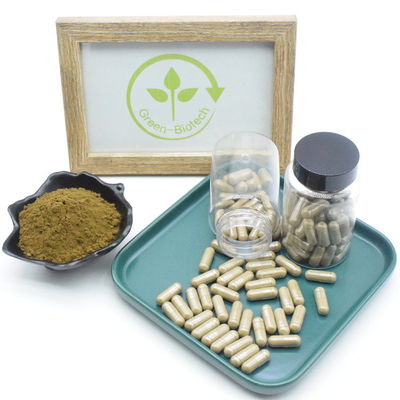 Custom Turkesterone Capsule Natural Ajuga Turkestanica Extract Capsule للمكملات الغذائية