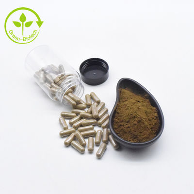 مستخلص نباتي Ajuga Turkestanica Extract Powder 10٪ 500mg / 60caps / Bottle Turkesterone Capsules