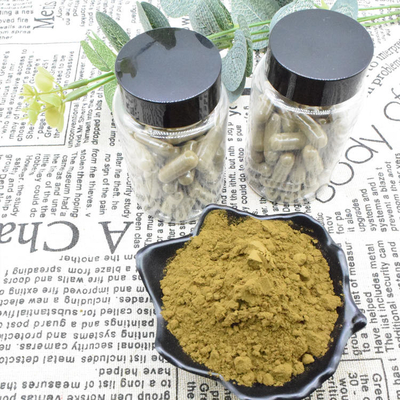 Ajuga Turkestanica Extract Powder 2٪ Buy Turkesterone