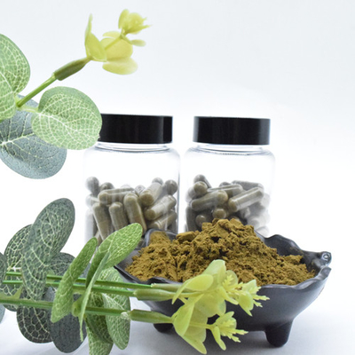 Ajuga Turkestanica Extract Powder 2٪ Buy Turkesterone