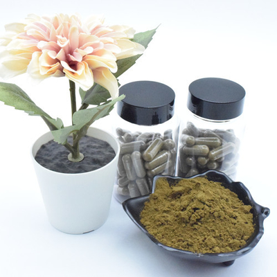 مستخلص نباتي Ajuga Turkestanica Extract Powder 40٪ 500mg / 60caps / Bottle Turkesterone Capsules