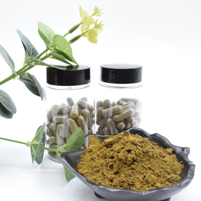 أعلى جودة مسحوق Ajuga Turkesterone 10 مستخلصات Turkesterone مستخلص نبات Turkesterone