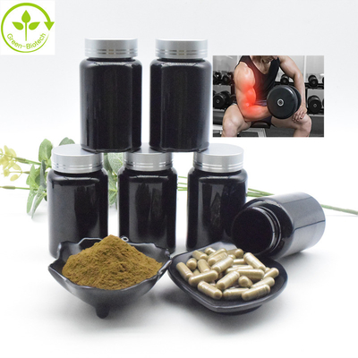 Ajuga Turkestanica Extract بالجملة السائبة 2٪ 10٪ CAS 41451-87-0 مستخلص تركسترون مسحوق تركسترون