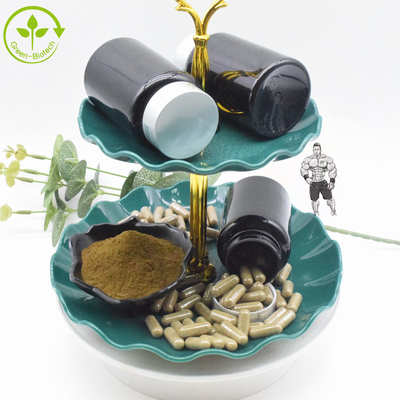 مكمل غذائي Ajuga Turkestanica Extract 10٪ 20٪ Turkesterone Powder