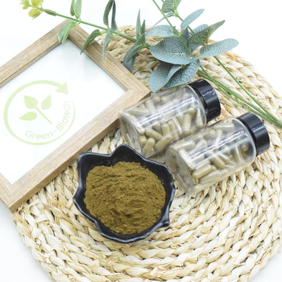 مكمل غذائي Ajuga Turkestanica Extract 10٪ 20٪ Turkesterone Powder