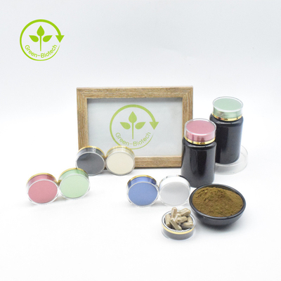 مستخلصات نباتية Ajuga Turkestanica Extract Powder Ajuga Turkestanica Powder