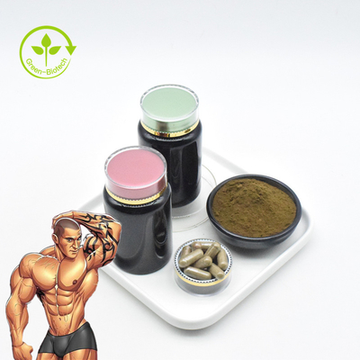 السائبة 2٪ 10٪ Ajuga Turkestanica Root Extract 1٪ Turkesterone Extract Powder