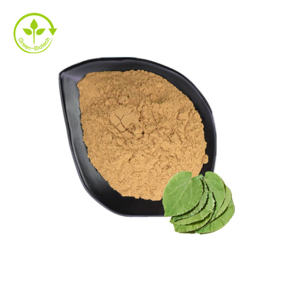 يزود مصنع ISO مباشرة مستخلص أعشاب الماعز القرنية مسحوق Epimedium 10٪ 20٪ 60٪ 98٪ Icariin