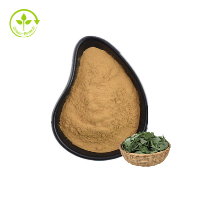 مستخلص نبات القارورة Epimedium Brevicornum Maxim Epimedium Sagittatum Extract Icariin Powder Horny Goat Weed 10٪