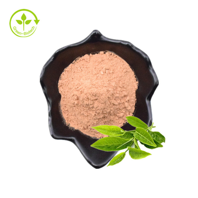 توريد مصنع بالجملة النقي مستخلص الشاي الأخضر مسحوق Epicatechin 98٪ Egcg Tea Polyphenol Green Tea Extract