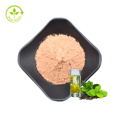 مسحوق مستخلص الشاي الأخضر / Polyphenols EGCG Catechins