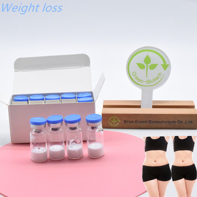الجودة العالية للحقن الدرجة  Semaglutide لبناء الجسم