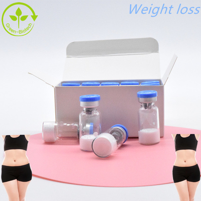 مبيعات ساخنة CAS 910463-68-2  Semaglutide لفقدان الوزن