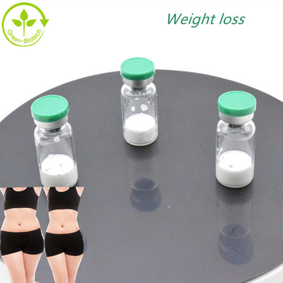 هرمون النمو النوع الخاص نقاء مرتفع 98٪  Semaglutide