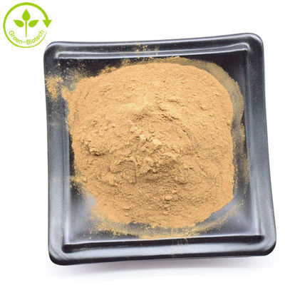 البضائع بالجملة الصفراء البنية Dendrobium استخراج أوركيدات الجذر المجفف مسحوق